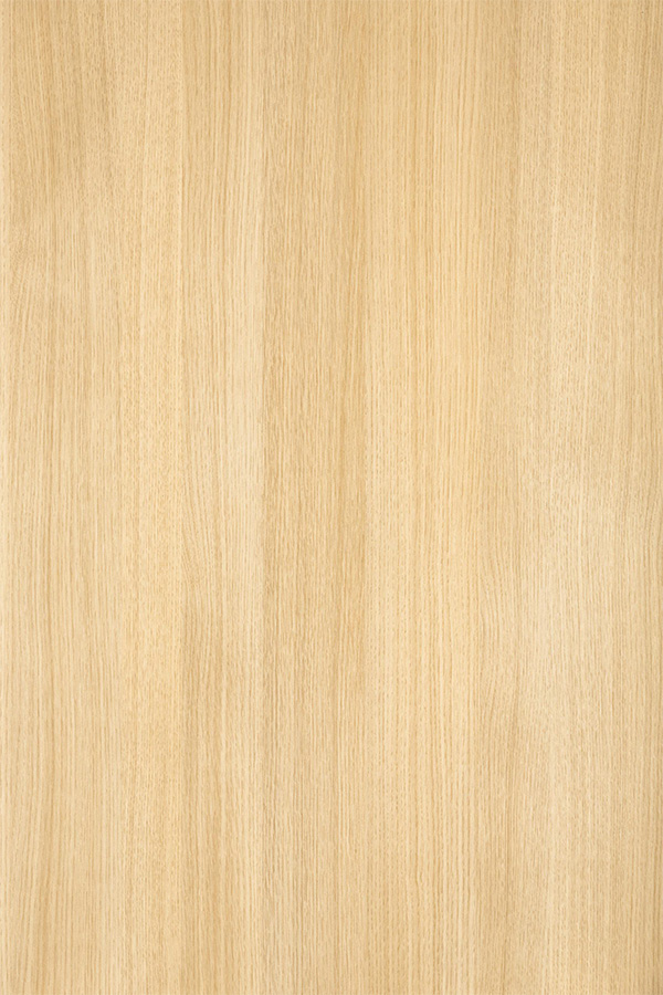 Kiilax-Tupla: Tammi Tolstoi